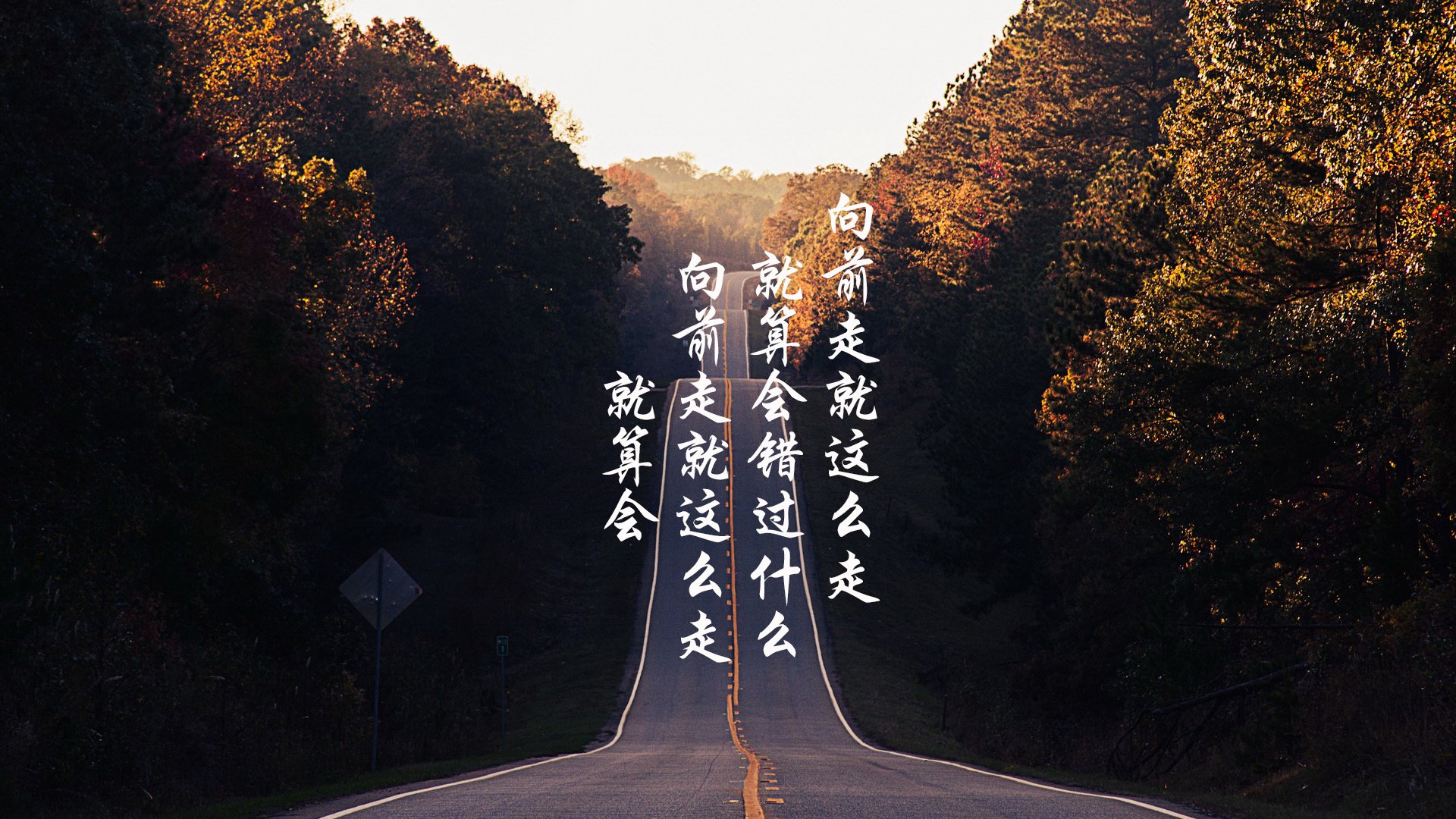 国际乒联混合团体世界杯：罗马尼亚队表现分析与未来发展，罗马尼亚乒乓球混双队员