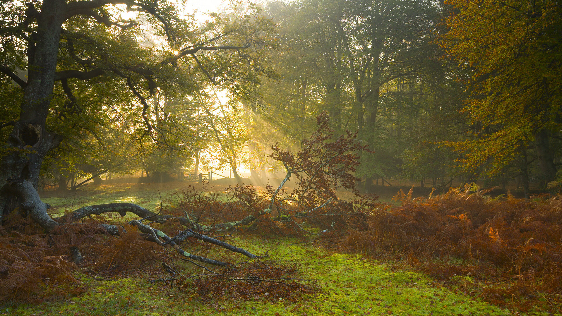 乌干达女篮在非洲锦标赛中不断提高,为奥运目标努力
