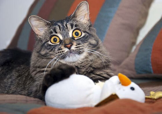 体育产业融资渠道多元化,体育产业融资渠道多元化的意义