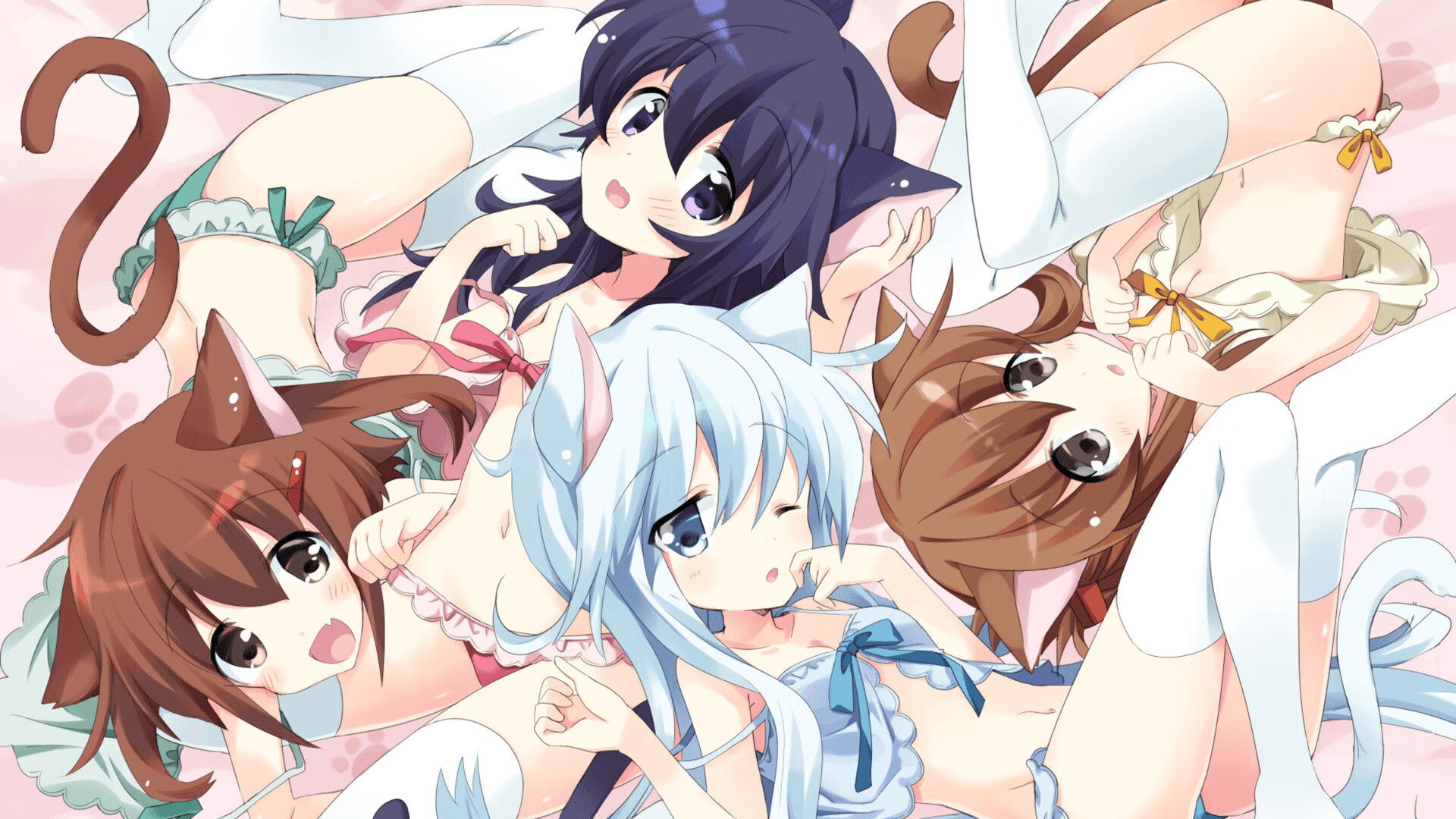 张伟丽拳击组合技压制对手，张伟丽的拳击