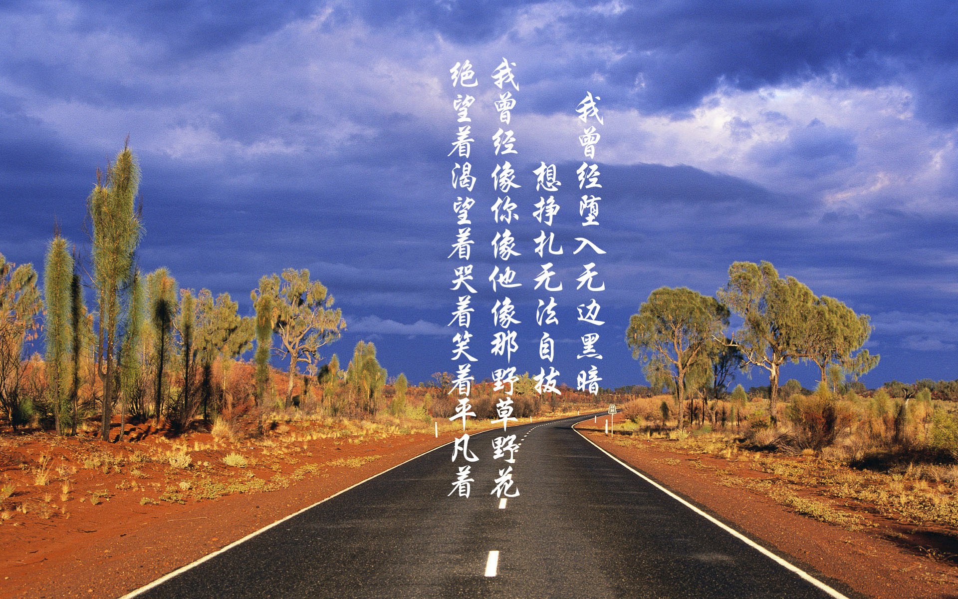 快船训练营加入新科技数据分析，快船科技有限公司