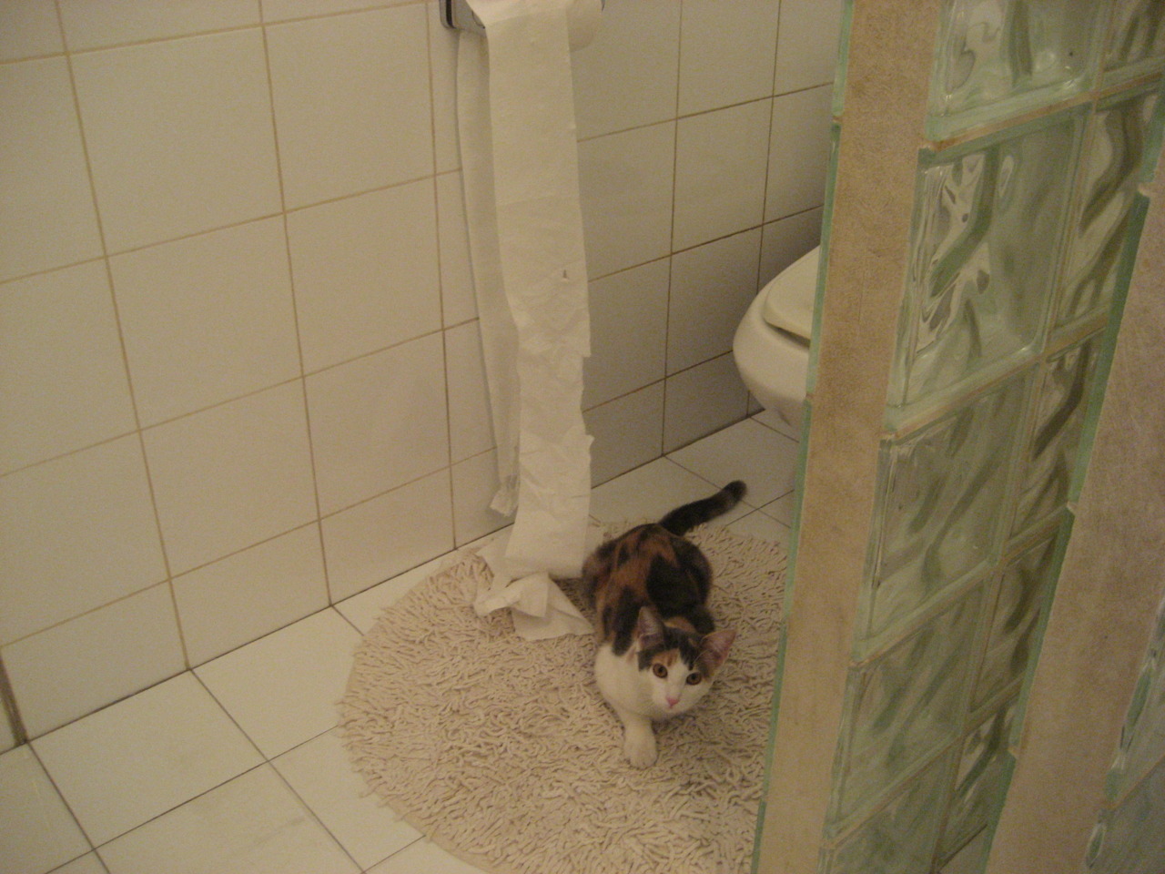 拜仁持续领跑德甲,冠军已近在咫尺