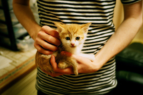 林丹参与奥运回顾节目分享趣事，林丹参加了几次奥运