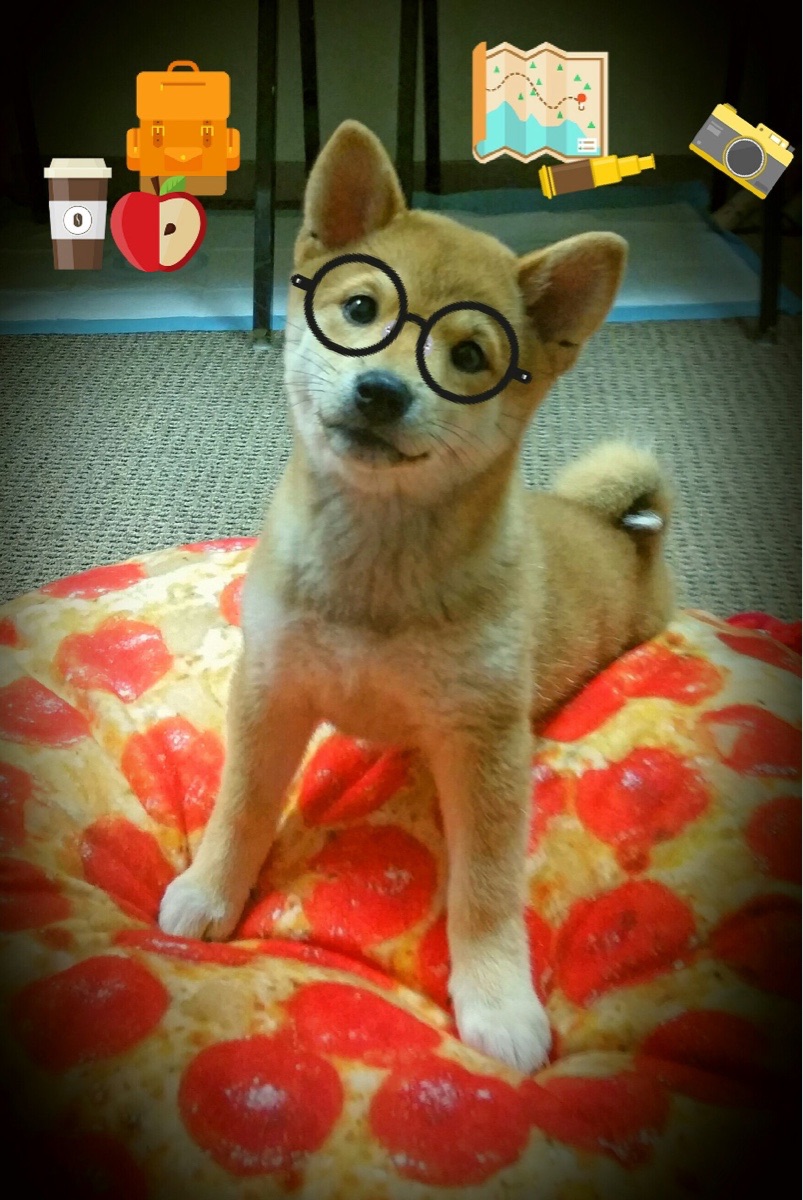 法甲新秀崭露头角:未来足球领袖!,法甲新赛季前瞻