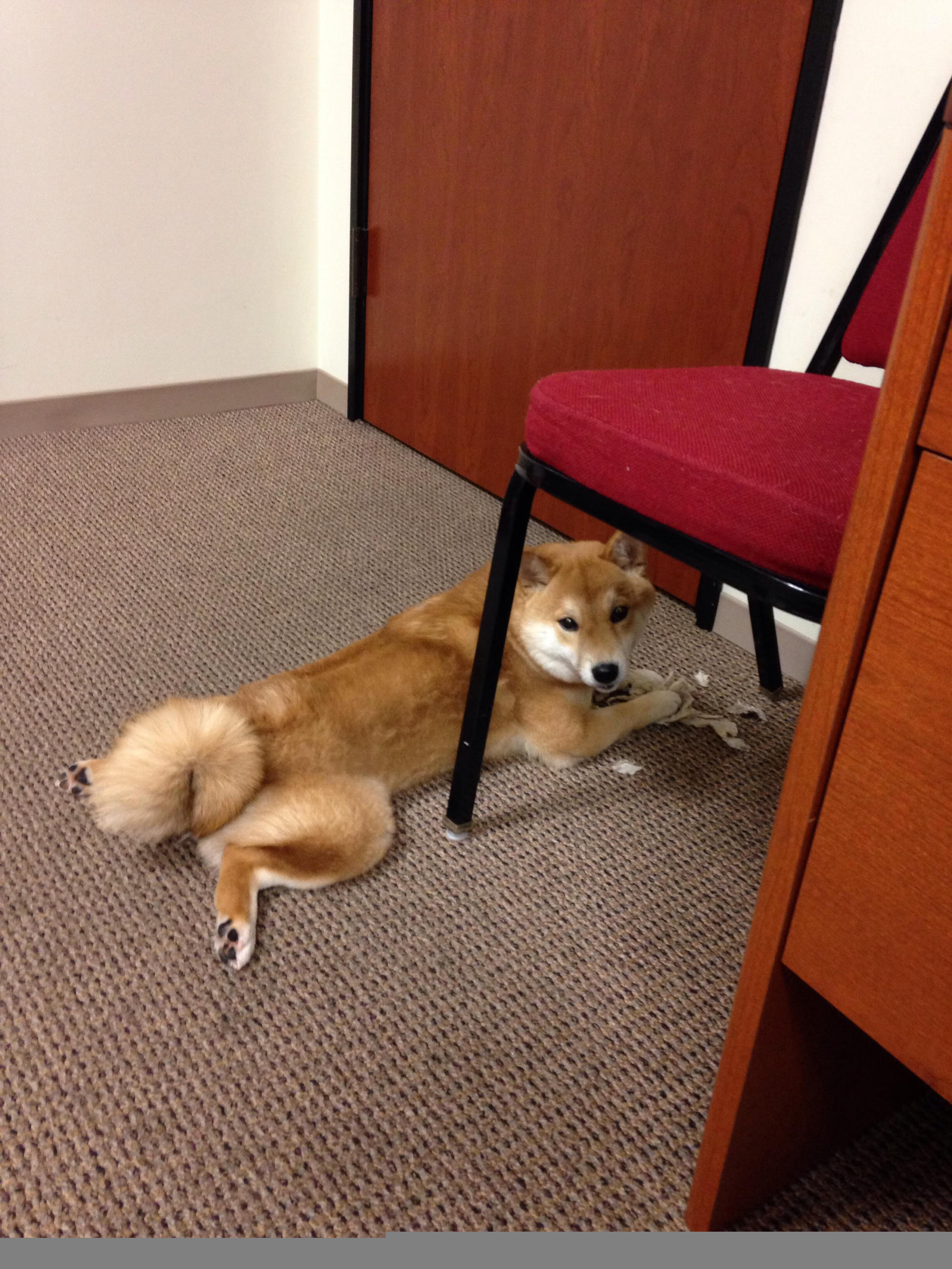 足球比赛现场数字互动体验日益丰富，数字游戏 关于足球