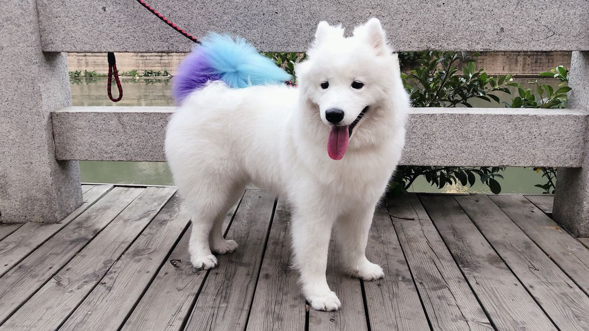 足球比赛现场数字互动体验日益丰富，数字游戏 关于足球