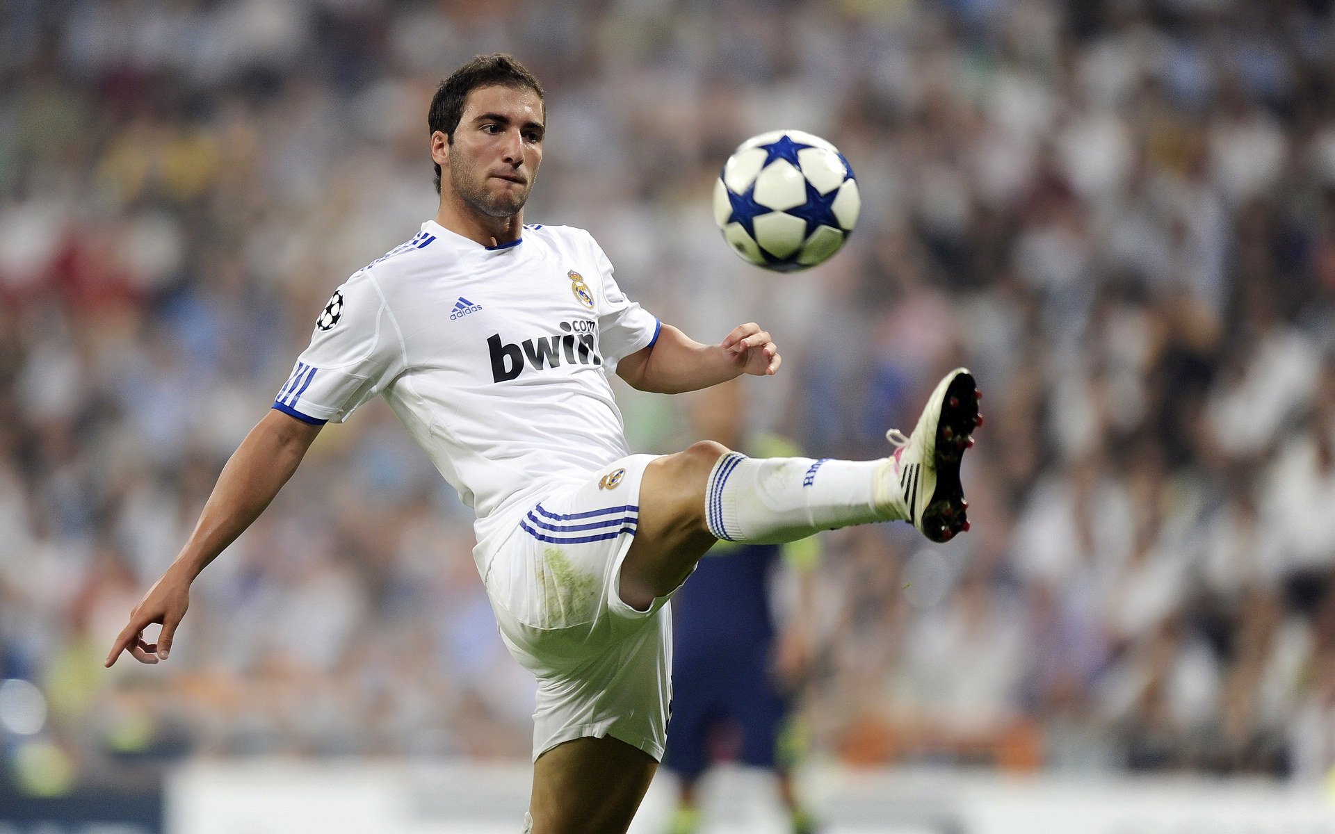 爱游戏电竞-球迷互动：粉丝投票选出年度最爱球员，球队粉丝数量排名